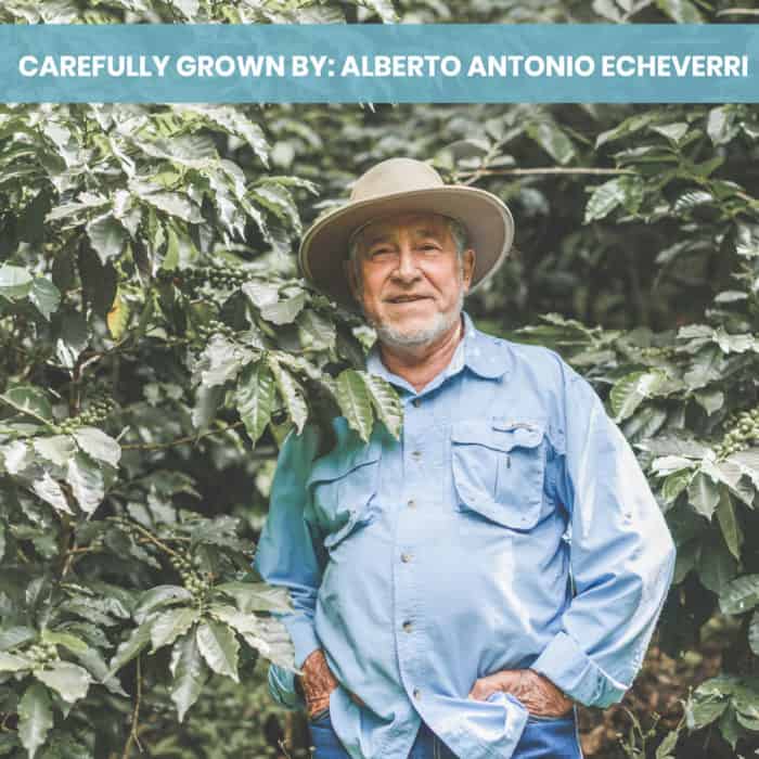 Picture of Hatillo Coffee's specialty coffee grower Don Alberto Echeverri in his Piedra Larga Farm