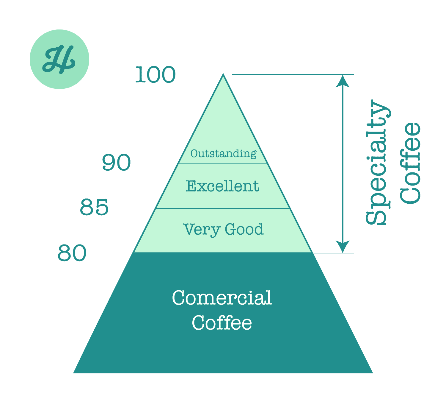 infographic showing how specialty coffee is graded using the specialty coffee association (SCA) standard