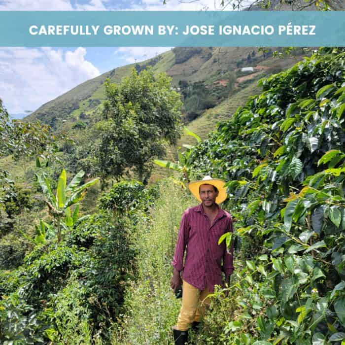 Picture of Don Jose Ignacio Perez one of Hatillo Coffee's gourmet micro-lot coffee farmers in his El Jardin farm near Gomez Plata, Antioquia Colombia