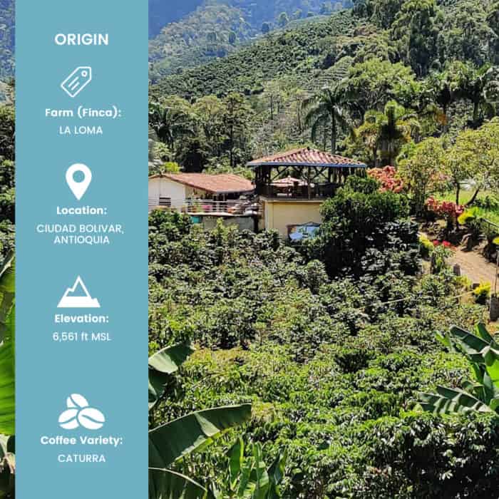 picture of Hatillo Coffee's specialty colombian coffee farm in Ciudad Bolivar, Antioquia with infographic showing the main characteristics of the La Lomafarm