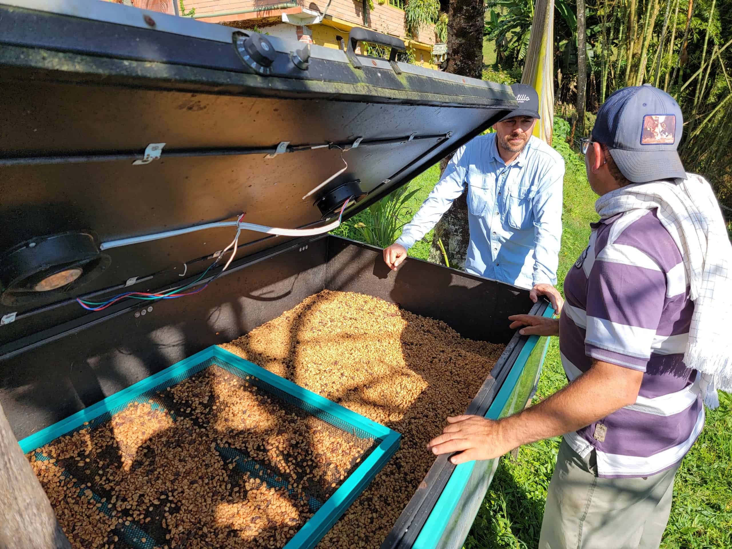 picture of Andres Jimenez, coffee farmer in la Chapolera farm near Fredonia Antioquia, showing Miguel, Hatillo Coffee's co-founder and chief quality officer, a drying bed they use to process exotic specialty coffee
