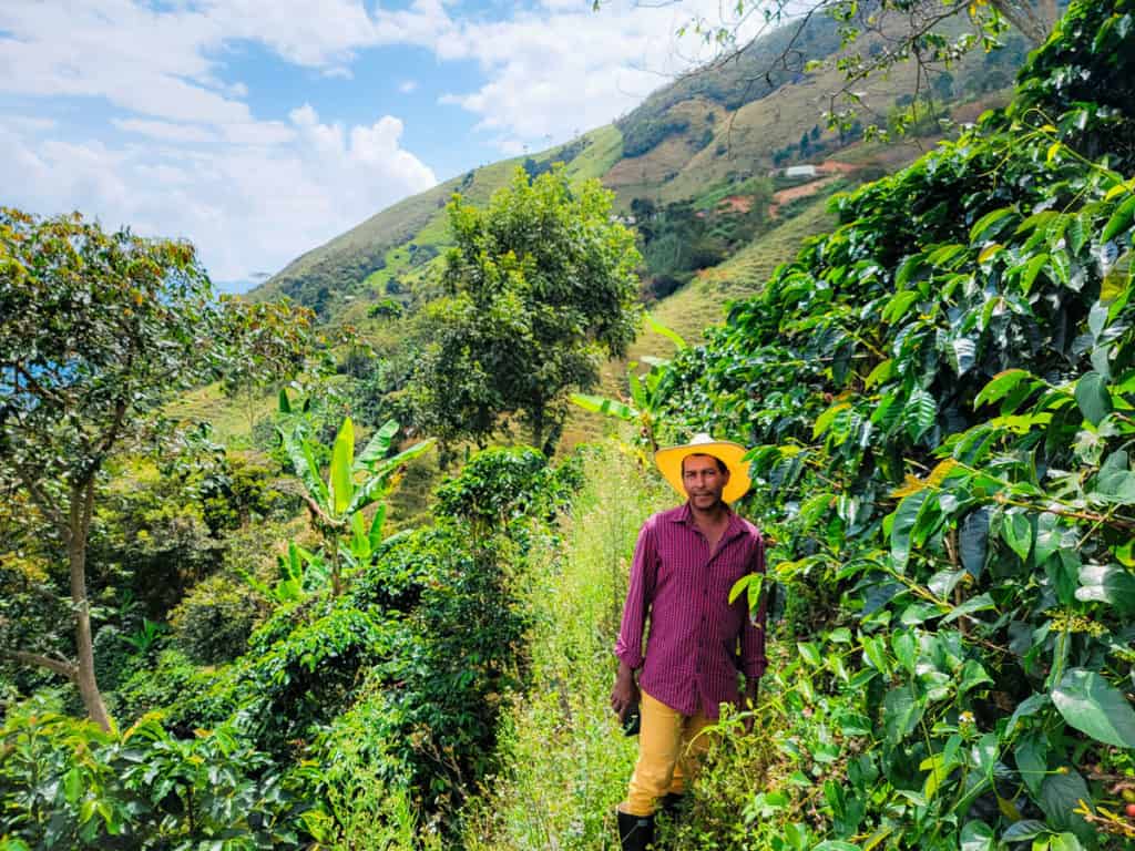 picture of Jose Ignacio Perez, Hatillo Coffee's specialty colombia coffee farmer from Gomez Plata, Antioquia - Colombia, standing on his El Jardin farm surrounded by coffee trees