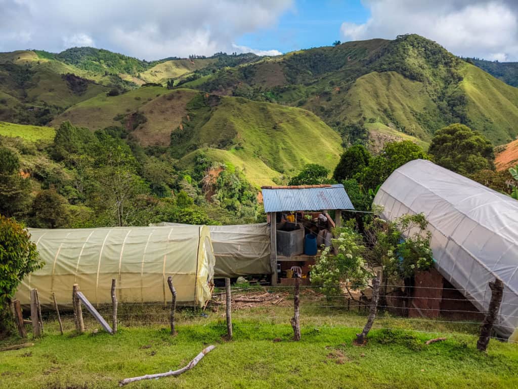 picture showing the drying beds where the specialty coffee from El Jardin farms is produced for Hatillo Coffee