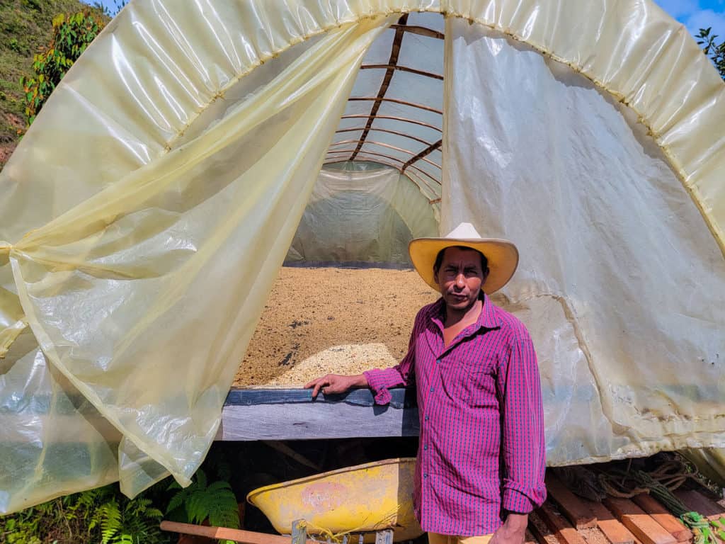 picture showing Jose Ignacio Perez, one of Hatillo Coffee's specialty coffee farmers who owns a farm called "El Jardin," standing in front of a coffee drying bed full of beans