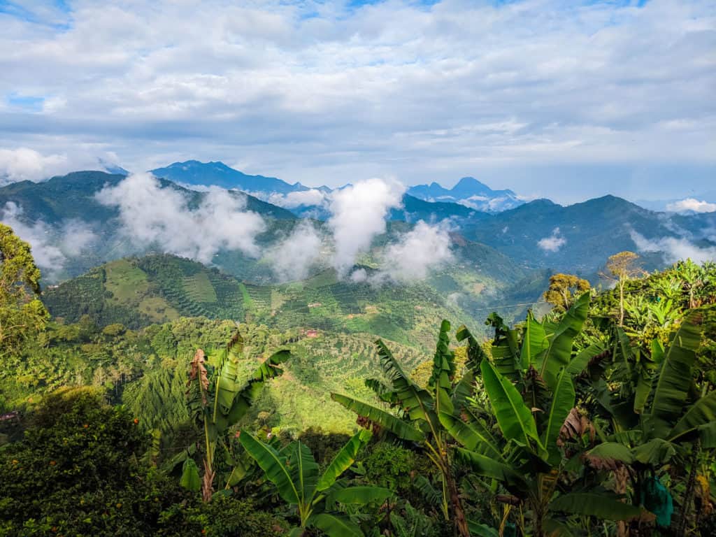 Picture taken from Alto Bonito Farm a Hatillo Coffee single origin specialty coffee farm overlooking the beautiful  farallones del citara mountain range