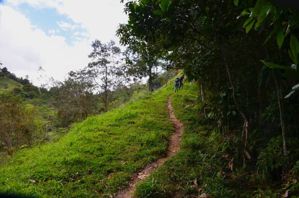 Miguel Echeverri and Jaime Rodriguez, Hatillo Coffee co-founders, walking uphill to get to La Teresita farm which cultivate's some of Hatillo's most delightful colombian coffee beans